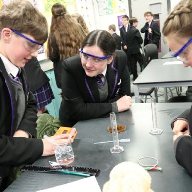 tsa_Year8Science (14)